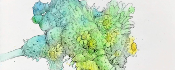 Detail of a biomorphic pencil drawing by MJ Seal over an abstract watercolor painting